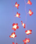 Orange Frrangipani Fairy Lights_sml.jpg